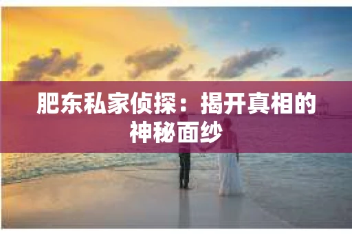 肥东私家侦探：揭开真相的神秘面纱