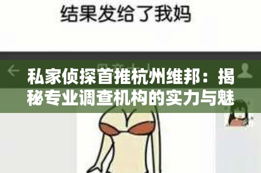 私家侦探首推杭州维邦：揭秘专业调查机构的实力与魅力