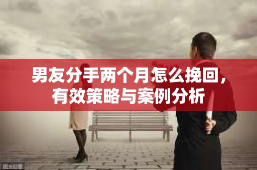 男友分手两个月怎么挽回，有效策略与案例分析