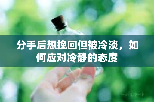 分手后想挽回但被冷淡，如何应对冷静的态度