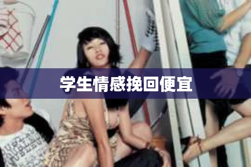 学生情感挽回便宜