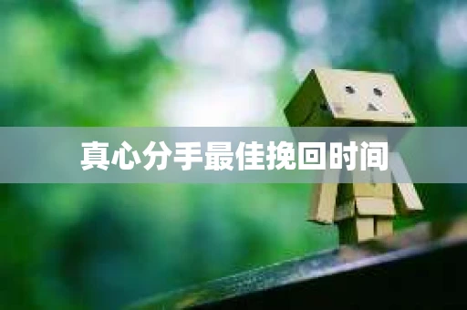 真心分手最佳挽回时间