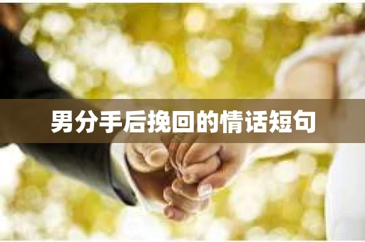 男分手后挽回的情话短句