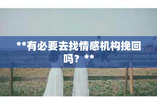 **有必要去找情感机构挽回吗?** **有必要去找情感机构挽回吗?**
