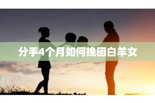 分手4个月如何挽回白羊女