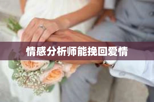 情感分析师能挽回爱情