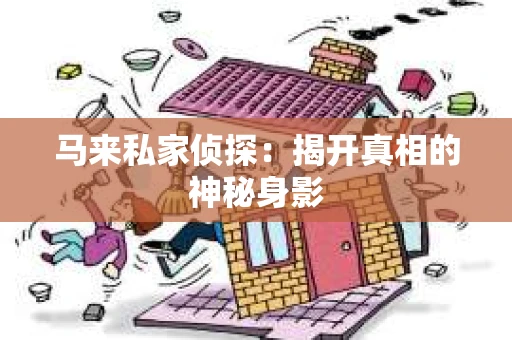 马来私家侦探：揭开真相的神秘身影