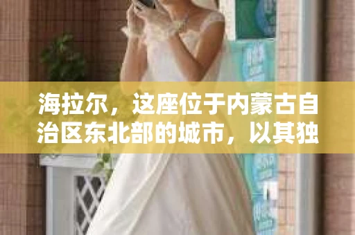 海拉尔，这座位于内蒙古自治区东北部的城市，以其独特的自然风光和深厚的文化底蕴吸引着众多游客。然而，在这个看似平静的城市中，你是否曾想过，当个人隐私或财产受到侵犯时，该如何寻求帮助？今天，我们就来聊聊这个话题：海拉尔有私家侦探吗？