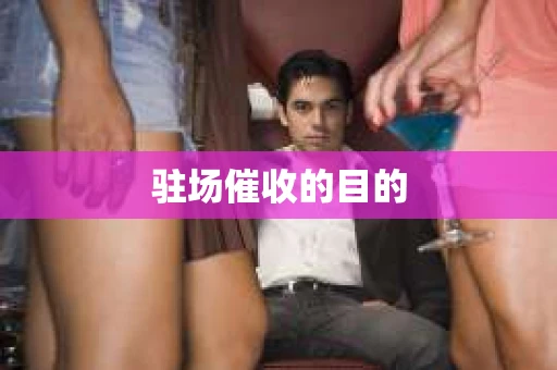 驻场催收的目的