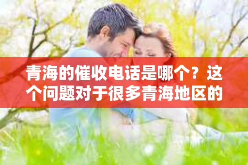 青海的催收电话是哪个？这个问题对于很多青海地区的借款人来说，可能是一个比较棘手的问题。毕竟，面对催收电话，我们既不能忽视，也不能盲目应对。那么，青海的催收电话究竟是多少呢？今天，我就来和大家聊聊这个话题。