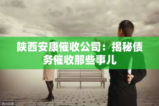 陕西安康催收公司：揭秘债务催收那些事儿