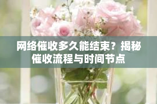 网络催收多久能结束？揭秘催收流程与时间节点