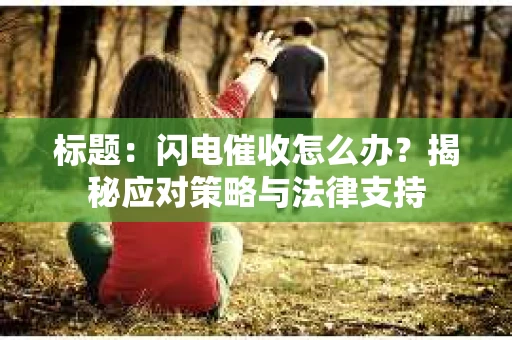 标题：闪电催收怎么办？揭秘应对策略与法律支持