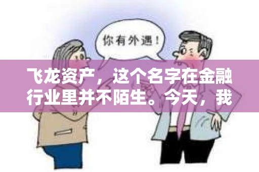 飞龙资产，这个名字在金融行业里并不陌生。今天，我们就来聊聊飞龙资产的催收业务，看看这个领域里的一些真实故事。