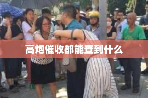 高炮催收都能查到什么