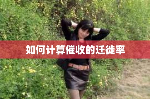 如何计算催收的迁徙率