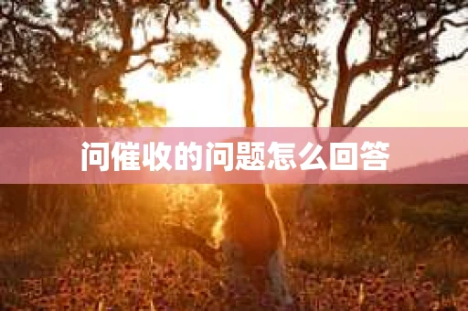 问催收的问题怎么回答