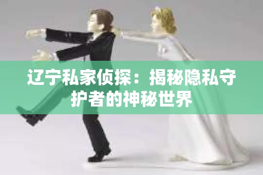 辽宁私家侦探：揭秘隐私守护者的神秘世界