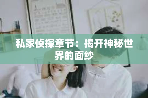 私家侦探章节：揭开神秘世界的面纱