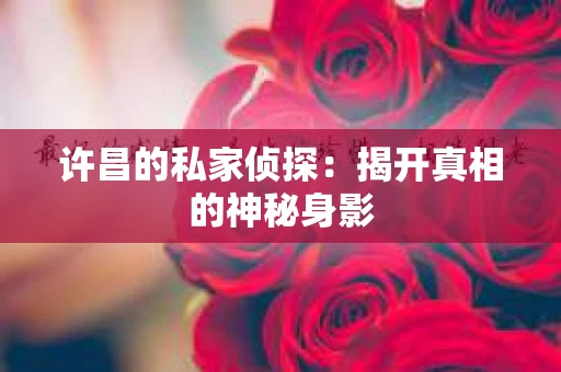 许昌的私家侦探：揭开真相的神秘身影