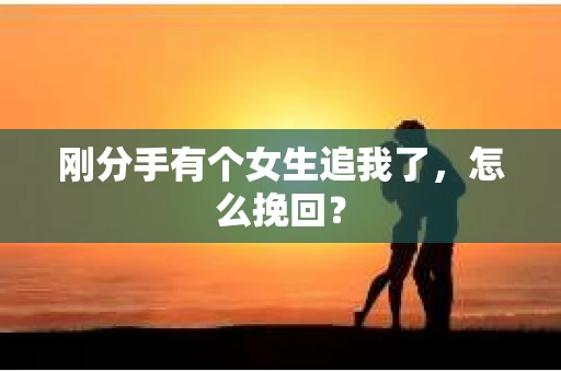 刚分手有个女生追我了，怎么挽回？