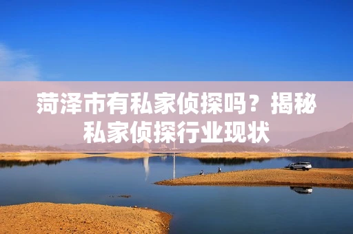 菏泽市有私家侦探吗？揭秘私家侦探行业现状