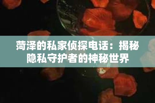 菏泽的私家侦探电话：揭秘隐私守护者的神秘世界
