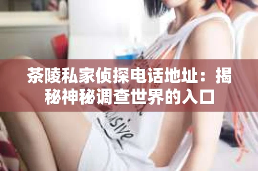 茶陵私家侦探电话地址：揭秘神秘调查世界的入口
