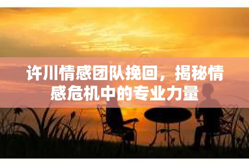 许川情感团队挽回，揭秘情感危机中的专业力量