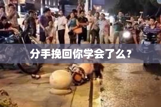 分手挽回你学会了么？