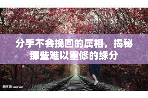 分手不会挽回的属相，揭秘那些难以重修的缘分